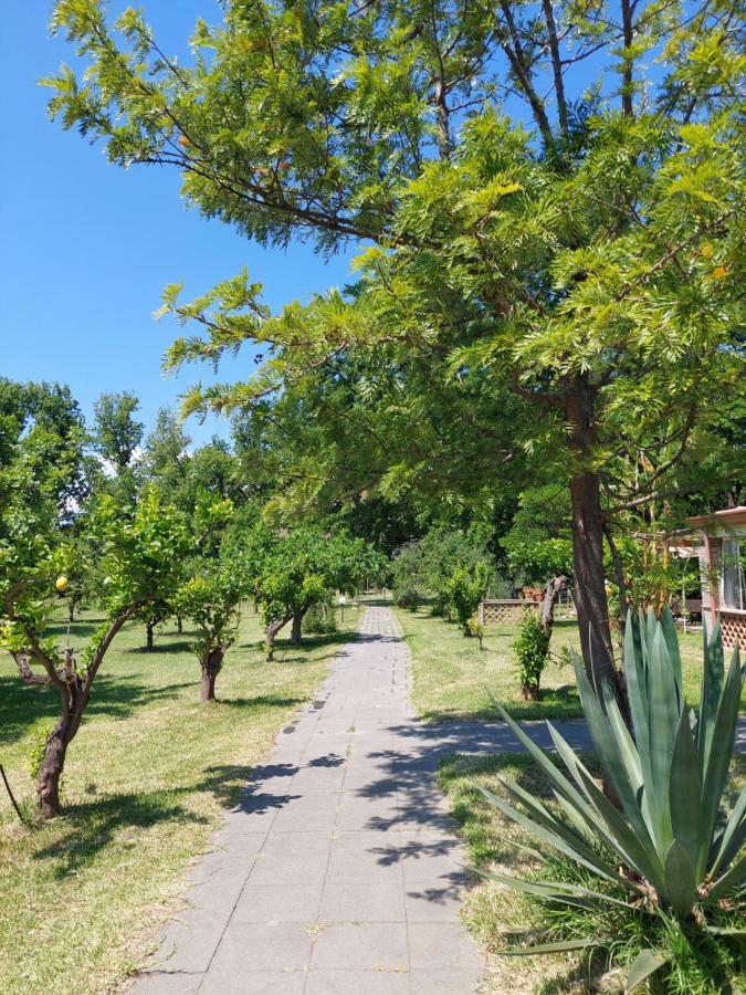 Villa Piersepp B&B Trappitello Eksteriør bilde